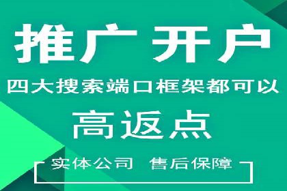 百度竞价托管运营策略案例分析